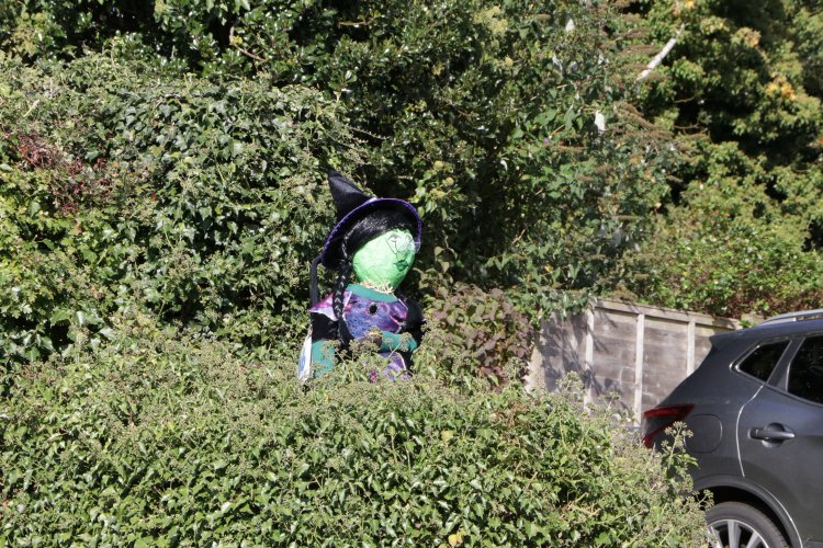 image of scarecrow